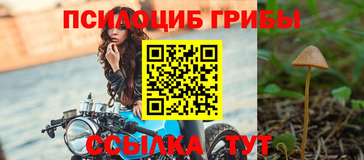 Мурино  Галлюциногенные грибы мухоморы  Вход с VPN 